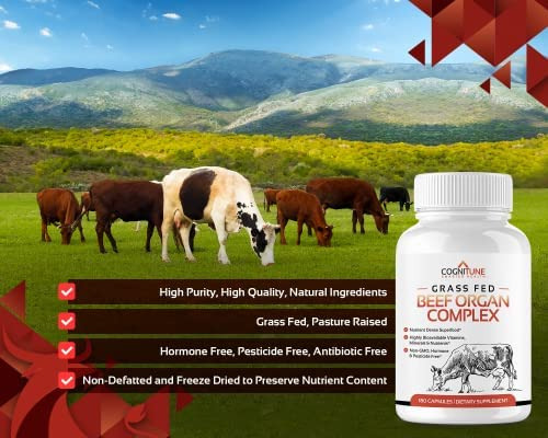 Suplemento De Órgão De Carne Bovina Alimentada Com Capim Co