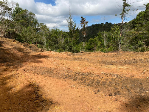 Hermoso Lote Despues De San Vicente Vereda Montegrande