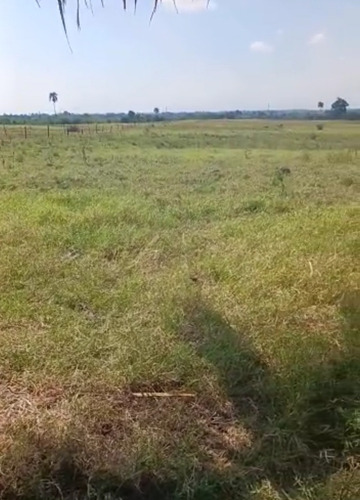 Vendo Finca 350 Tareas Moca Espaillat