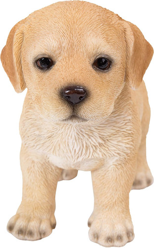Cachorro Labrador De Aspecto  , Estatua De   De Pie