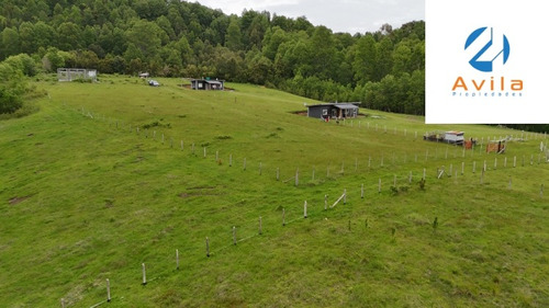 Villarrica Calfutue Camino A Lican Ray 5.500m2 Cod.vtap210