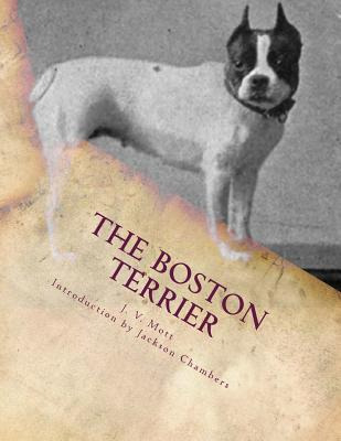 Libro The Boston Terrier - Chambers, Jackson