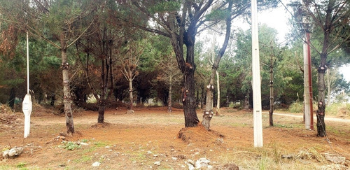 Imagen 2 de 7 de Venta Lote Terreno En La Lucila Del Mar