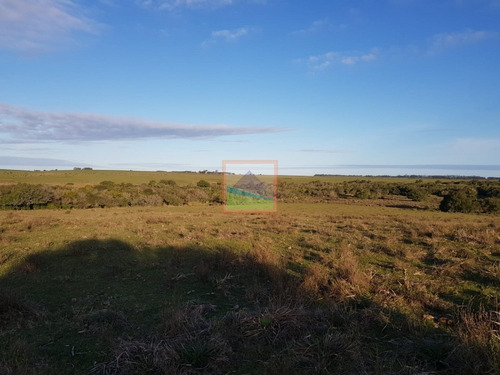 Imagen 5 de 19 de Campo 31 Hás Garzón Bajo, José Ignacio, Uruguay