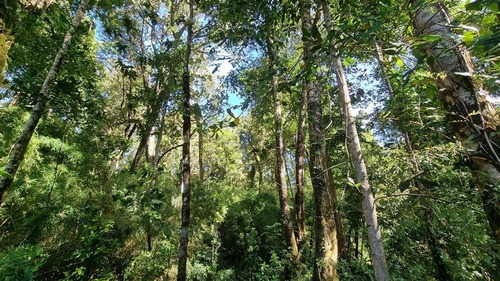 Parcela En Venta Lomas Del Mirador Puerto Varas