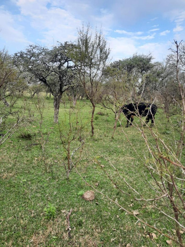 Imagen 10 de 12 de Campo En Venta, Costa Uruguay Sur 0