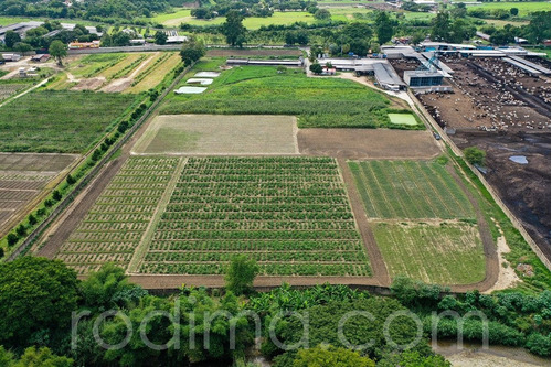 Granja En Guayabita Turmero, En Venta