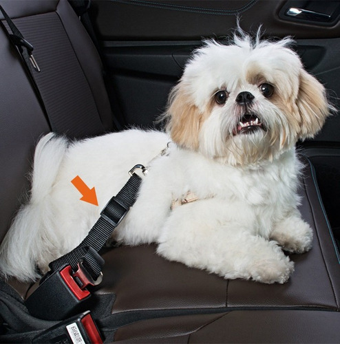 Cinto De Segurança Para Cães E Gatos Ajustavel De Carro Pet