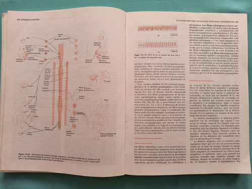 Principios De Anatomía Y Fisiología (Usado)