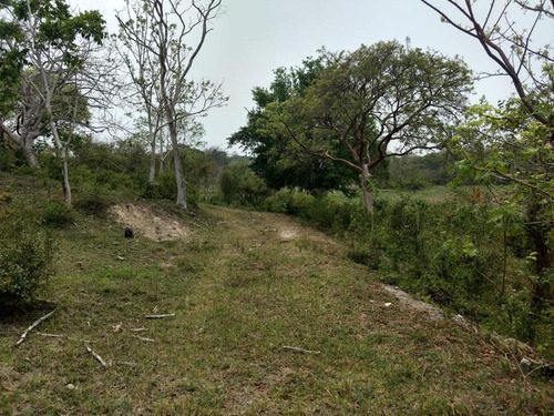 Venta Rancho 50 Hectareas Tampache Tamiahua Veracruz