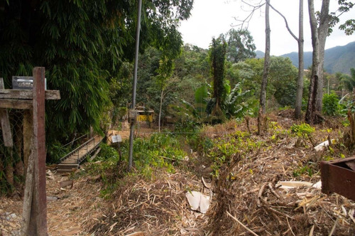 Lote Com 6.500m2 No Cônego - 304