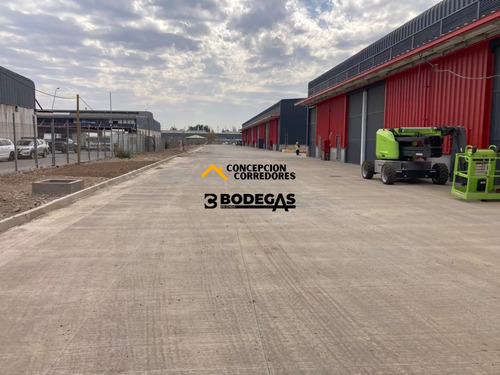 Arriendo Bodega Nueva De 400 M2 En Lo Espejo Con Ruta 5.