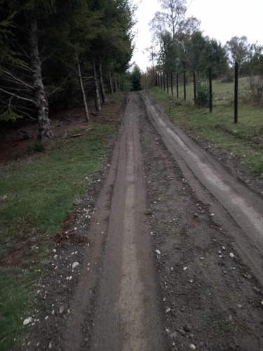 Parcela Comuna Villarrica
