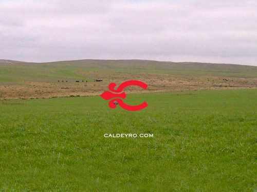 Campo En Florida Ref. 2733