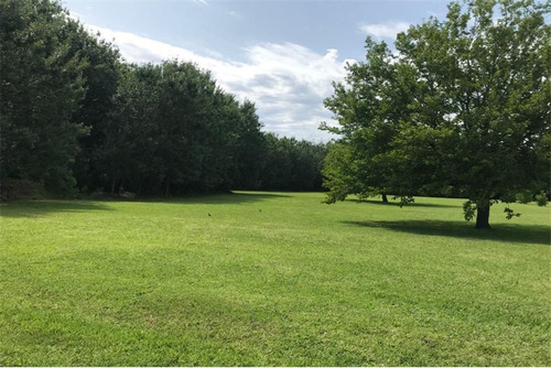 Imagen 12 de 24 de Lotes En Venta Barrio Perimetrado Villa Elisa
