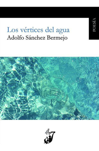 Vertices Del Agua,los - Sanchez Bermejo, Adolfo