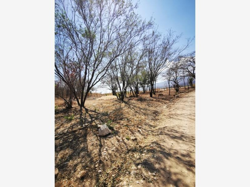 Imagen 4 de 10 de Terreno Industrial En Venta Plan De Mulumi
