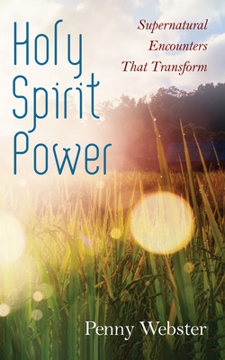 Libro Holy Spirit Power - Webster, Penny