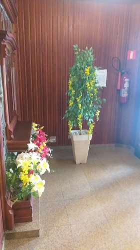 Imagem 14 de 14 de Apto Com 1 Qto Amplo, Sala Ampla E Com Vista Livre E Terraço, Próx Praia, Mercados, Etc Elevador, Boa Gar $ 190.mil
