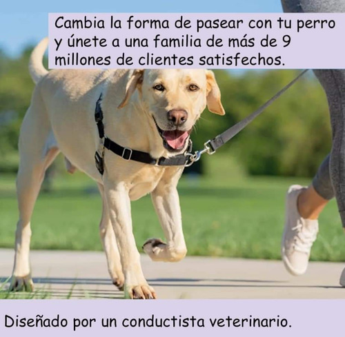 Arnés Easy Walk. Talla S 38 A 51 Cm Antijalones Para Perros