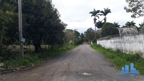 Imagem 7 de 10 de Lotes Com Excelente Localização E Totalmente Legalizados. - 317 - 34427774
