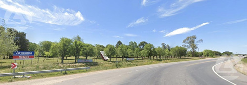 Imagen 6 de 6 de Fraccion De 60 Has Sobre Ruta 16 Y Caceres - Esteban Echeverria