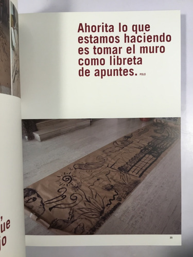 Deshacer La Cárcel / Pintar Los Muros Pueg Unam