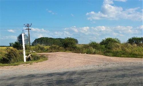 Campo Ganadero En San Luis, Rocha