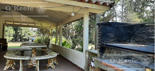 Imagen 8 de 20 de Quinta En Venta En Abasto 4180 Mts. Con Muy Buena Forestación