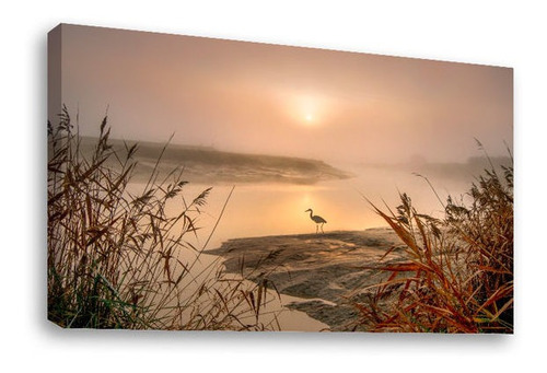 Cuadro Decorativo Canvas Moderno Lago Atardecer Con Garza