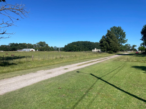 Chacras En Venta De 3 Hectáreas, Zona Rural.