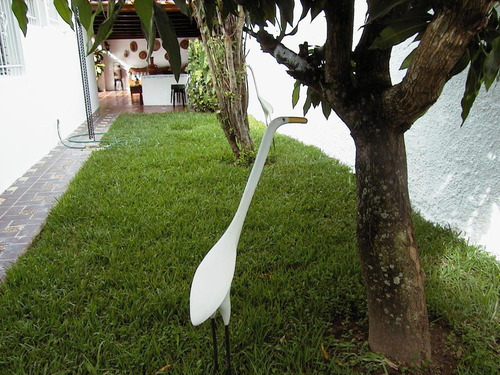 Imagen 15 de 24 de Venta Casa Macaracuay Una Sola Planta