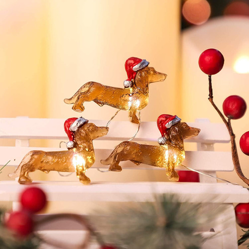 Cadena De Luces Parpadeantes Para Perro 30 Led 3 Metros