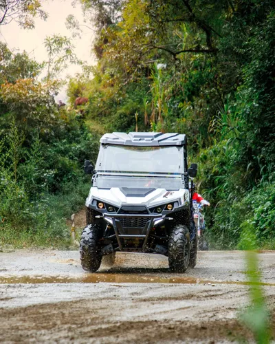 Buggy Plr 550 Cc - 4x4