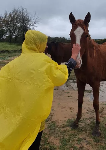 Poncho Lluvia Liviano Pampero - PAMPERO