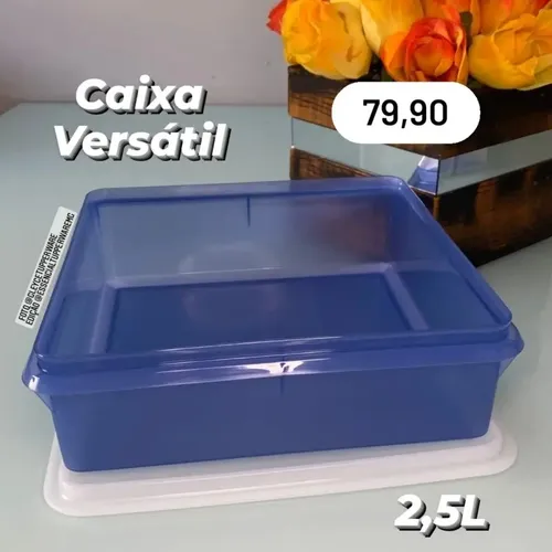 Tupperware Caixa Versátil 2,5l | MercadoLivre