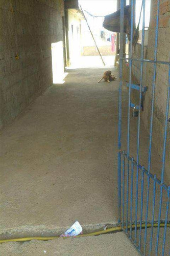 Imagem 20 de 20 de Casa Em Santana De Parnaíba Bairro Cristal Park - V225400