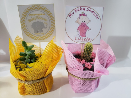 Imagen 3 de 10 de Recuerdos 35 Plantas Suculentas Decoradas Todo Evento