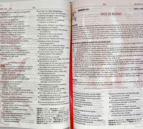 Imagen 4 de 6 de Biblia De Estudio Para La Predicación De Avivamiento Piel