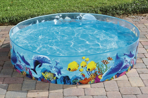 Pileta Rigida Pez Payaso Niños Chica Bestway 182x38cm 746 L