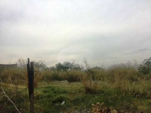Imagem 4 de 4 de Terreno Á Venda E Para Aluguel Em Jardim Itatinga - Te207716