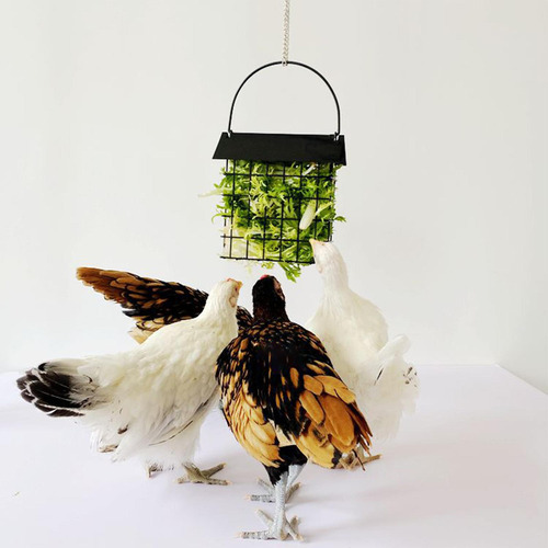 Comedero Colgante Sebo Jaula Soporte Para Gallinas Pollo