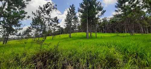 Terrenos De 100m² Baratos,venha Morar No Interior De Sp