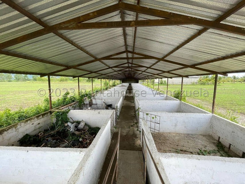 Carlos Colmenarez Felx 23-33543 Vende Finca Con 10 Hectareas Y 4.642 Mts Pozo Profundo De 80 Metros, Bomba De 14 Hp Luz Trifasica Laguna De 50 Por 40 Metros Cochinera De 30 Corrales