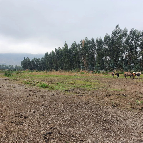 Terreno Construccion  En Venta En San Fernando