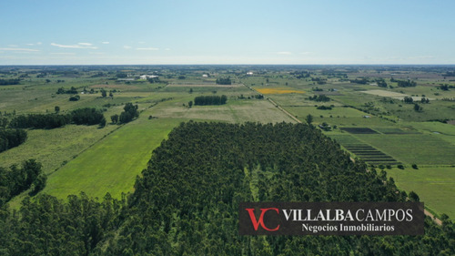 Establecimiento Rural Productivo En Canelones - 107 Hectáreas, Infraestructura Completa Y Recursos Hídricos