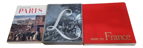Lote De 3  Grandes Libros De Paris, Francia Y El Louvre