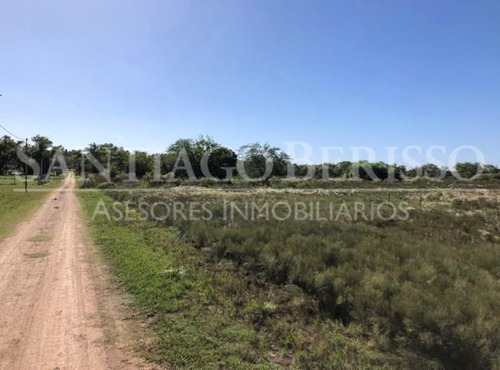 Terreno Campo  En Venta En Alto Los Cardales, Campana, G.b.a. Zona Norte