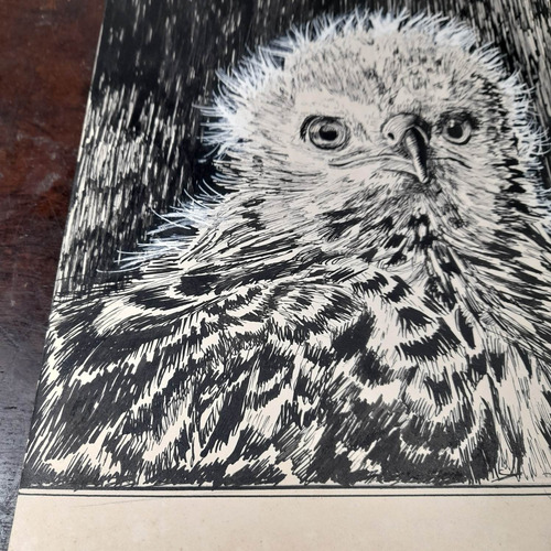 Imagem 4 de 5 de Desenho Nanquim Bico De Pena Datado 1952 Antigo Sem Moldura