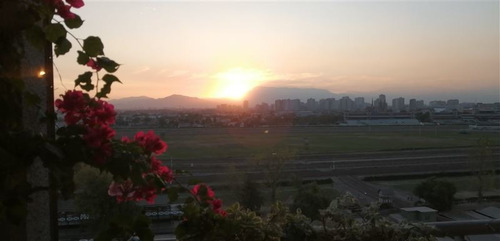 Imagen 1 de 15 de Excelente Departamento En Venta De 4 Dorm. En Santiago